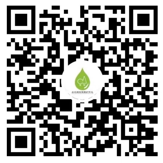 小水滴视频号二维码